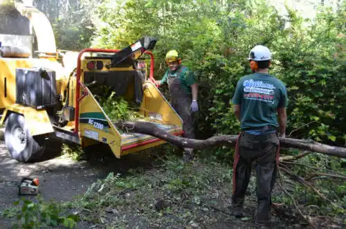 tree services Pike Creek Valley